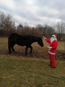 Božiček je obdaroval naše otroke 5